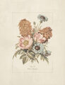 Image Not Available